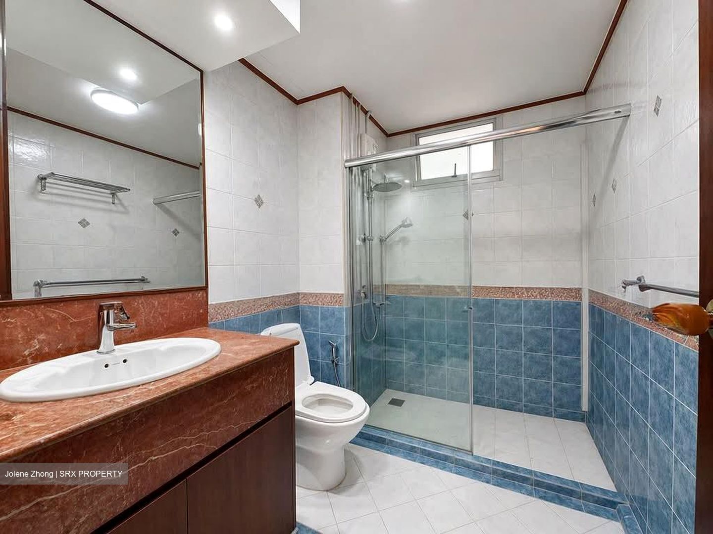 Parkshore (D15), Condominium #557205081